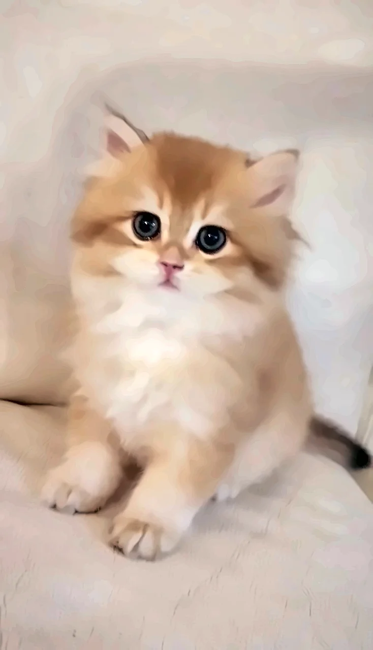 Bitcoin, a PrettyBrity graduate