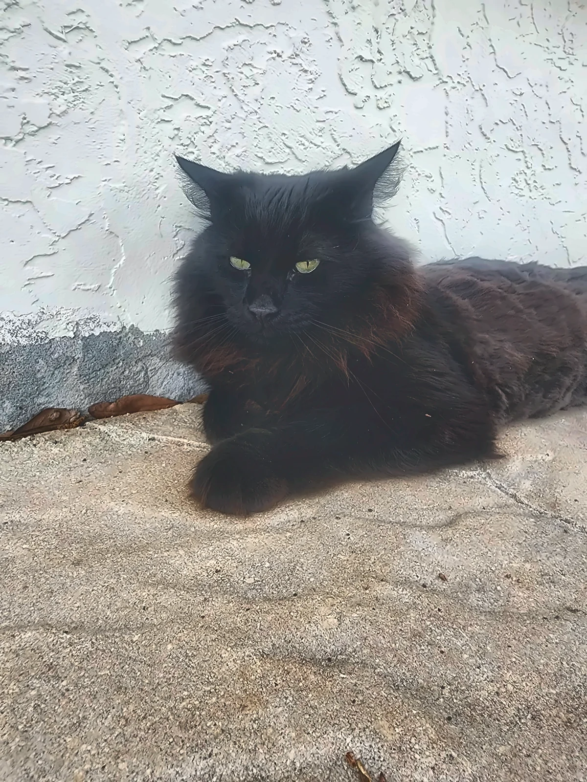 The Dark Overseer, Chantilly-Tiffany family